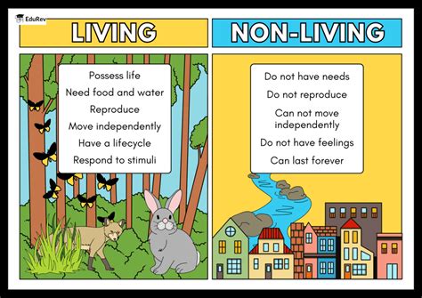 Infographics - 1 Living and Non-Living Things - Science for Class 3 PDF