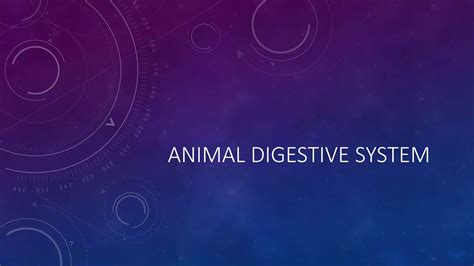 Animal Digestive System | PPTX