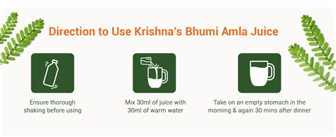 KRISHNA'S HERBAL & AYURVEDA Bhumi Amla Juice