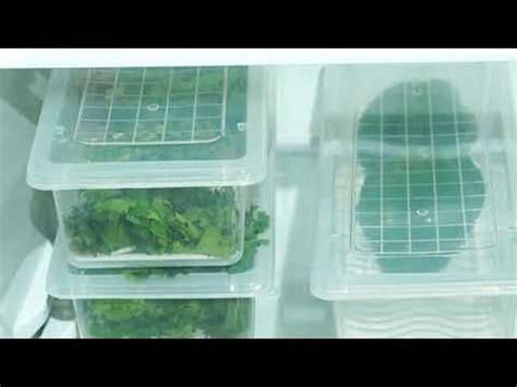 DEEJET Plastic 8 Fridge Storage Boxes Organizer Containers Freezer ...