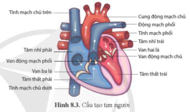 Image result for HTML Tutorial Exercise