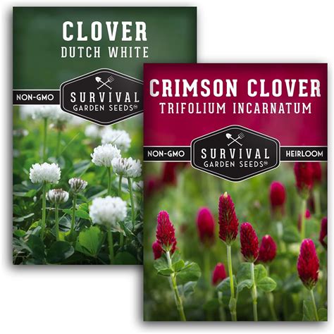 Clover Seed Collection for Planting – 2 Packets of Crimson & Dutch ...