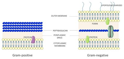 Back to Basics: Choosing the Appropriate Surface Disinfectant