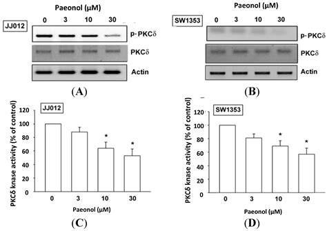 Paeonol Suppresses Chondrosarcoma Metastasis through Up-Regulation of ...