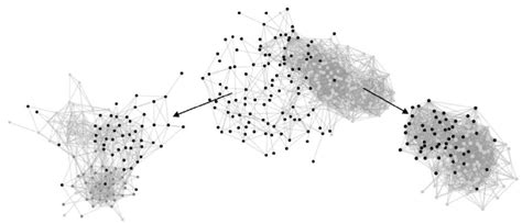 Finding Community Structure in Very Large Networks 的图像结果