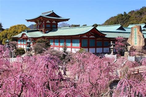 2023 Yamaguchi Hofu Tourist Spots Pass provided by JTRweb Limited