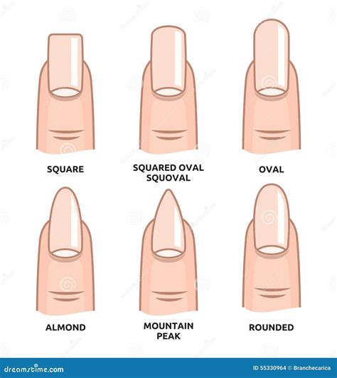 Different Nail Shapes - Fingernails Fashion Trends Stock Illustration ...