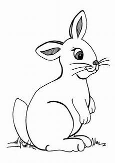 ausmalbilder tiere hase ausmalbilder hase 24 ausmalbilder tiere ausmalbilder tiere hase ausmalbilder hase 24 ausmalbilder tiere