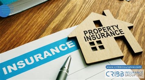 Insurance Protection 的图像结果