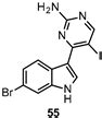 GSK-3β, FYN, and DYRK1A: Master Regulators in Neurodegenerative Pathways