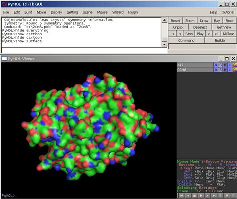 Image result for Actions Generate Electrostatic Surface PyMOL