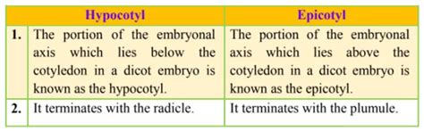 NCERT Solutions for Class 12 Biology Chapter 2 Sexual Reproduction in ...