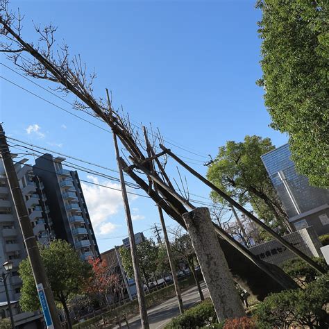 OGAKI CLAN SCHOOL KEIKYODO RUINS (2025) All You Need to Know BEFORE You ...