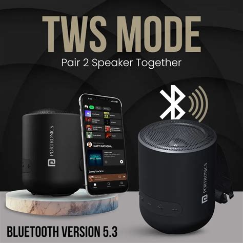 Portronics SoundPot POR‑280 20W Portable Bluetooth Speaker - Black ...