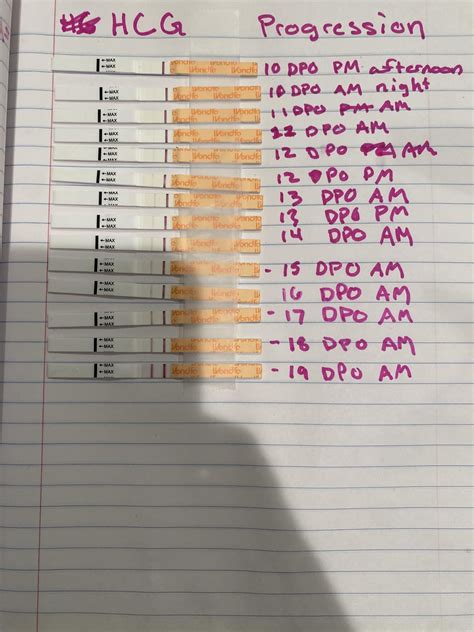 Progression Lines 10Dpo to 19dpo. Wondfo brand. 10 weeks pregnant today ...