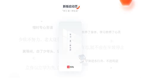 组图：澳洲色彩缤纷的知更鸟 展现异国情调 | 摄影师 | 大纪元