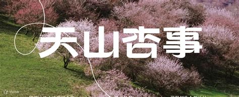 Xinjiang early spring Ili Tianshan Apricot Event 7 days and 6 nights ...