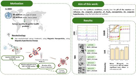 Influence of the pH Synthesis of Fe3O4 Magnetic Nanoparticles on Their ...