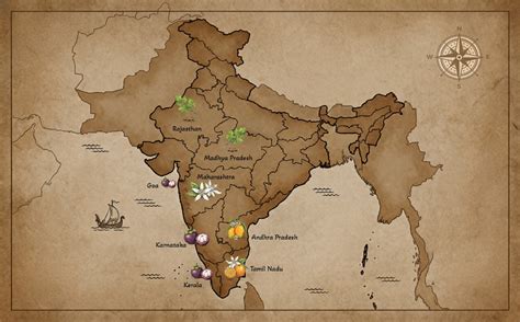 Indian-Origin Skincare Crafted for Modern Routines – Dipsy