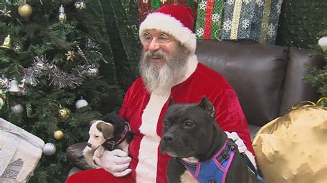 South Texas pets take pics with Santa in 'Paws for Claus' event ...