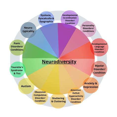 Neurodivergents - Stimpunks Foundation