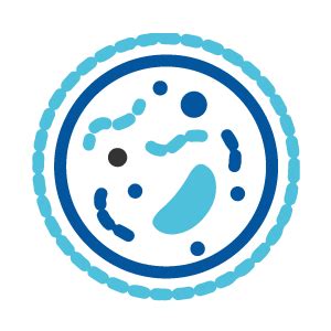 Index of /images/icon