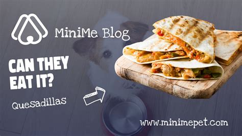 Can Dogs Eat Quesadillas? Let's Find Out - MiniMe Pet - Social App for Pets