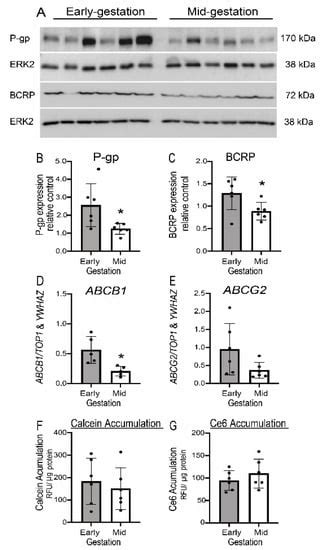 Cells | July-2 2022 - Browse Articles