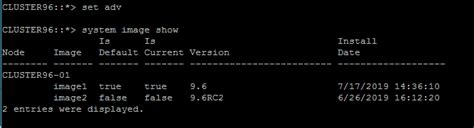 Image result for NetApp Ontap 9 Simulator