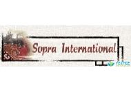 Best Security Company in Jaipur | Top Security Agencies in Jodhpur.