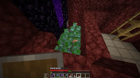 How to Make a Drowned Farm in Java 的图像结果