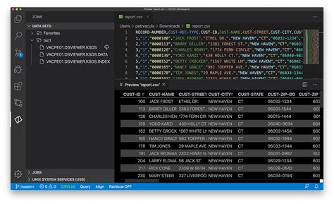 Mainframe Sequential Dataset 的图像结果