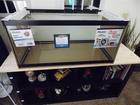 40 Gallon Breeder Tank Dimensions Cm Supplying Cheap | www ...