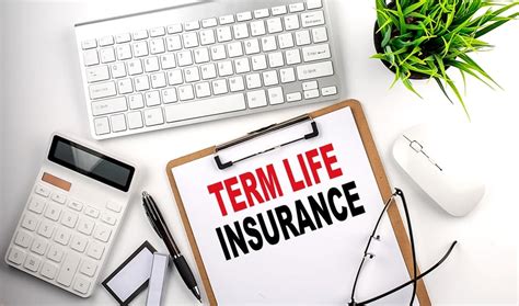 Image result for How to Buy Level Term Life Insurance