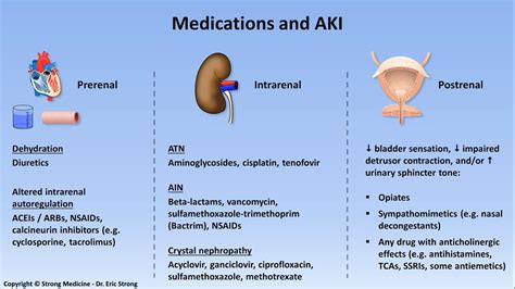 What Causes Kidney Failue