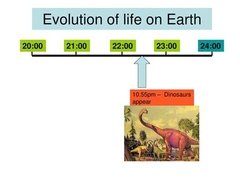 Life Evolution 的图像结果