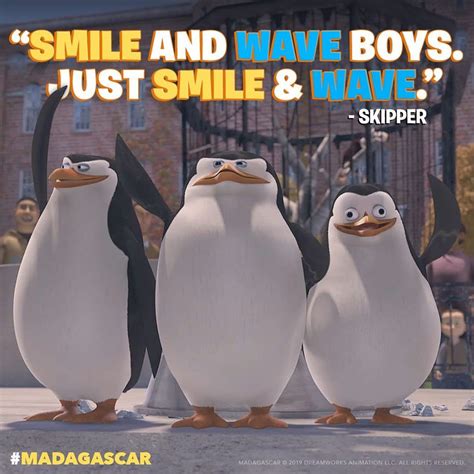 10 cute cuddly penguin gifs – Artofit