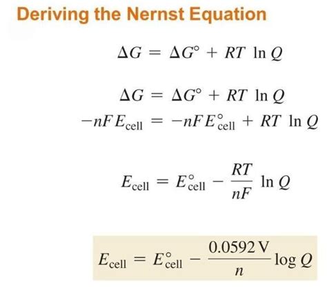 explain nernest equation - Brainly.in