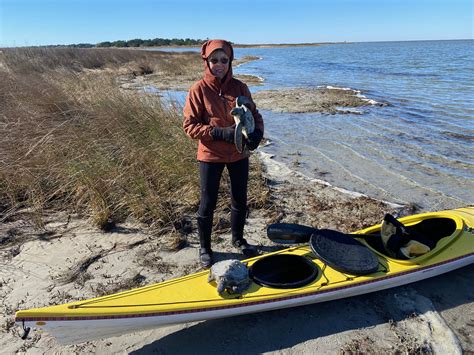 IMG_1145 | Ocracoke Observer