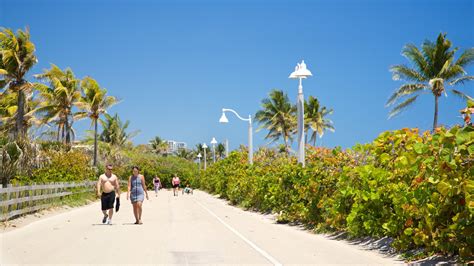 Where to Stay in Hollywood: Best neighborhoods | Expedia