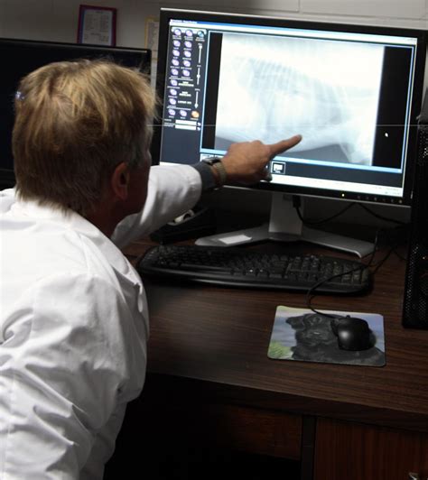 Clinic Tour | Arcadia Veterinary Clinic