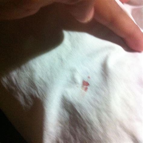 OMG HOUSE (Palawan Island/Puerto Princesa) - Hostel Reviews & Photos ...