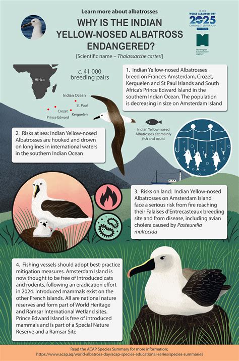 Agreement on the Conservation of Albatrosses and Petrels - ACAP Species ...