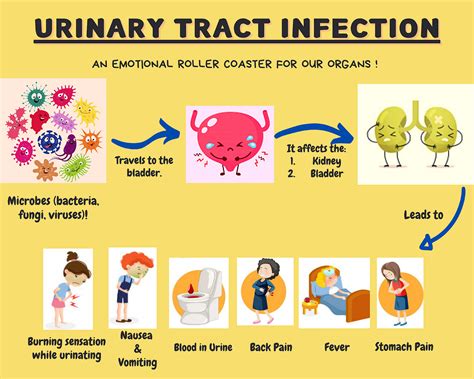 Urine Tract Infection Symptoms Urinary Tract Infection (UTI) FastMed