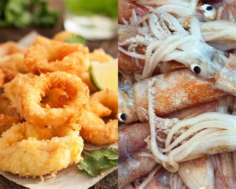 Difference Between Squid And Calamari