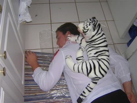 Image result for Siegfried Get Smart