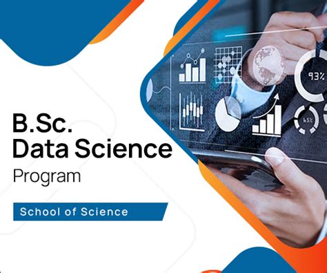 About The Program