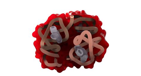 Image result for Haemoglobin Structure Model