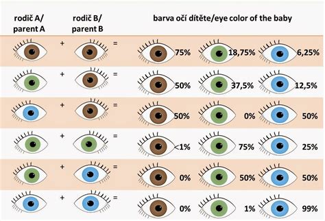 Image result for Probability Comparison Eye Color