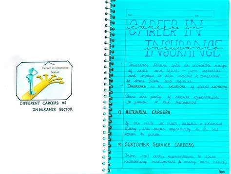 Insurance Project Class 11 的图像结果